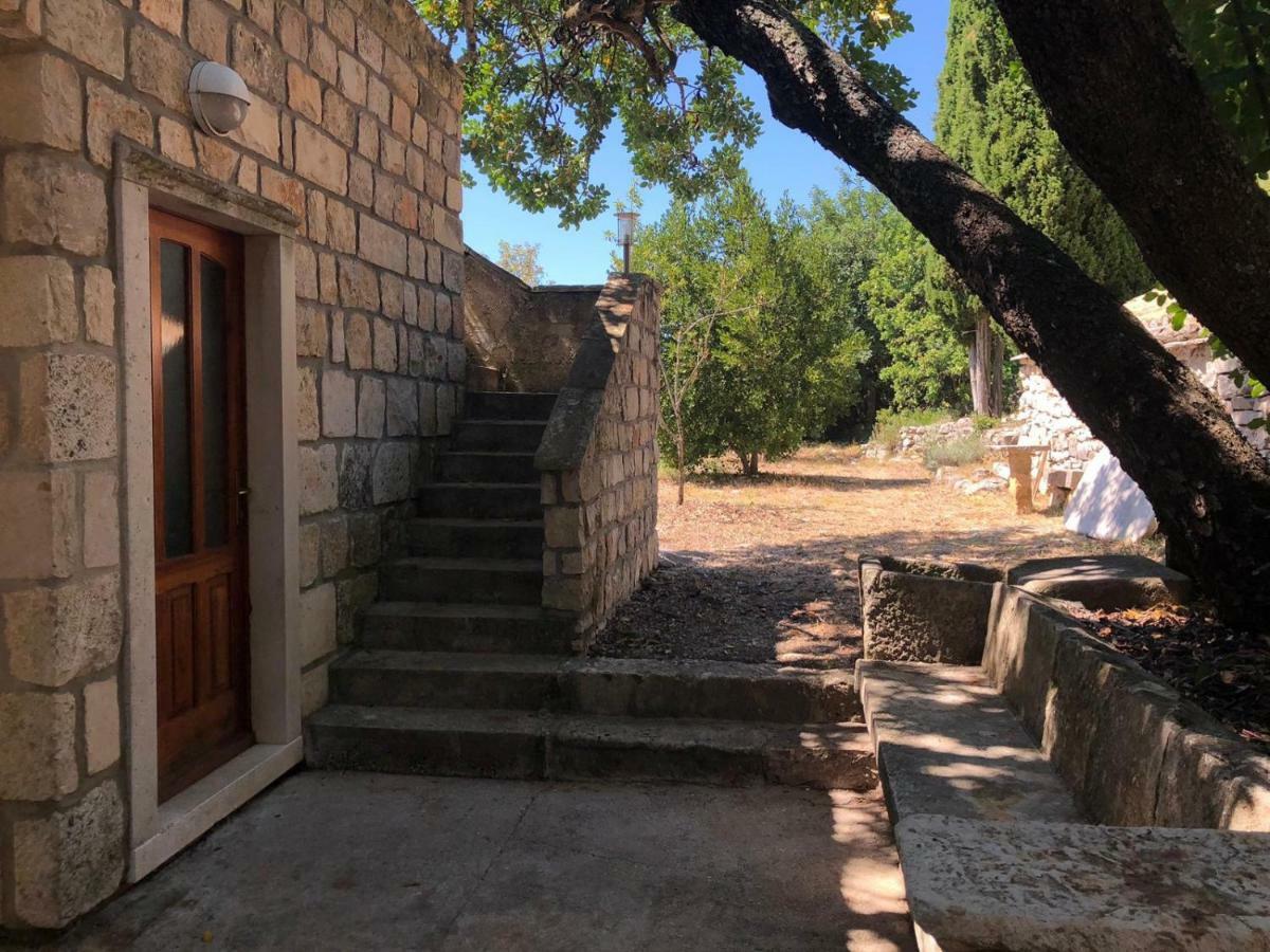 Holiday Home Villa Kastel Zrnovo 외부 사진