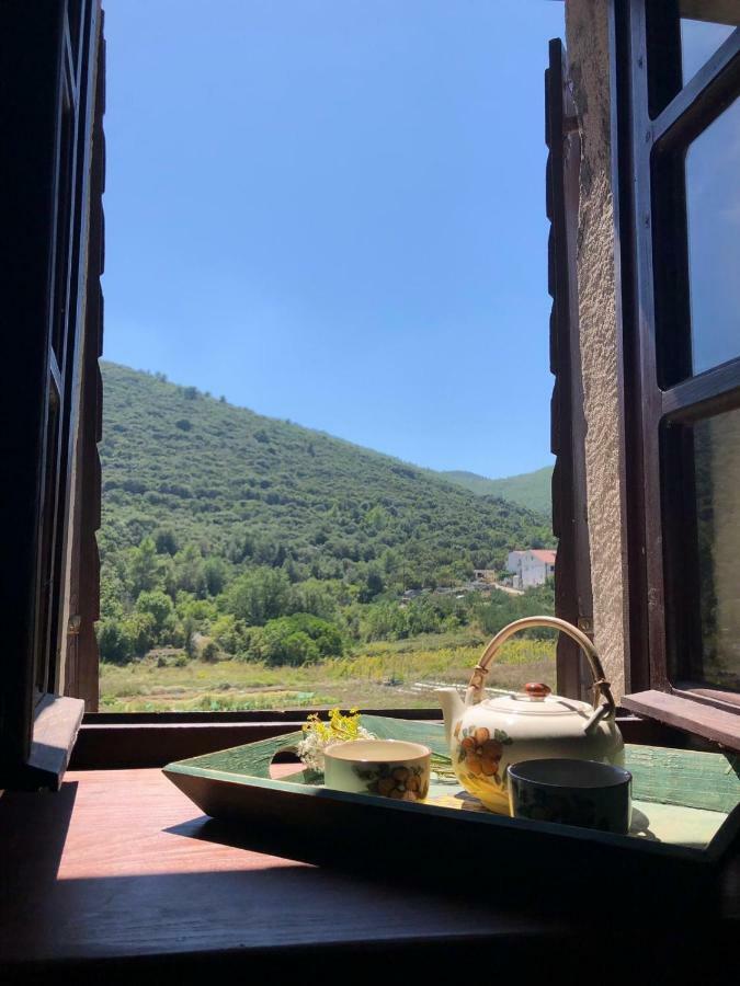 Holiday Home Villa Kastel Zrnovo 외부 사진
